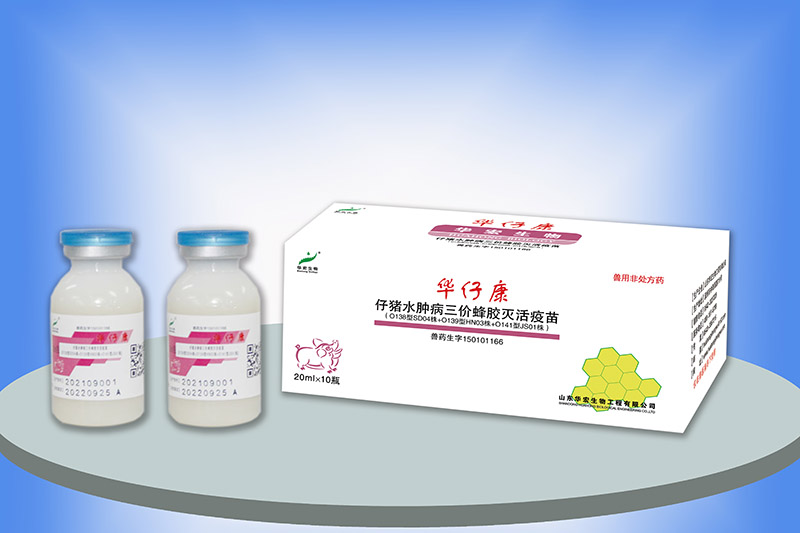仔豬水腫病三價蜂膠滅活疫苗