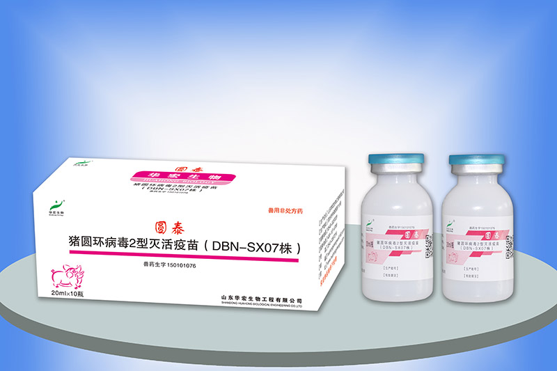 豬圓環病毒2型滅活疫苗（DBN-SX07株）