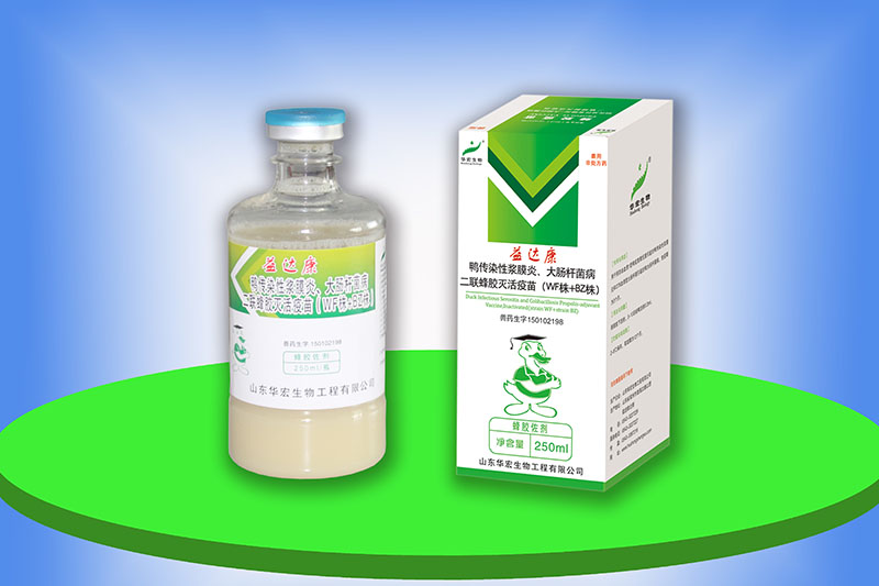 鴨傳染性漿膜炎、大腸桿菌病二聯蜂膠滅活疫苗（WF株+BZ株）