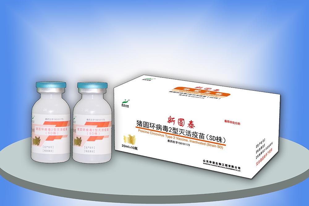 豬圓環病毒2型滅活疫苗（SD株）
